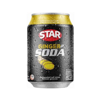 Soda Ginger 24 x 300ml