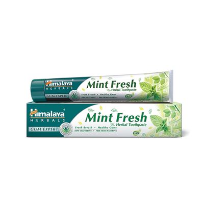 Toothpast Mint Fresh 48 x 100ml
