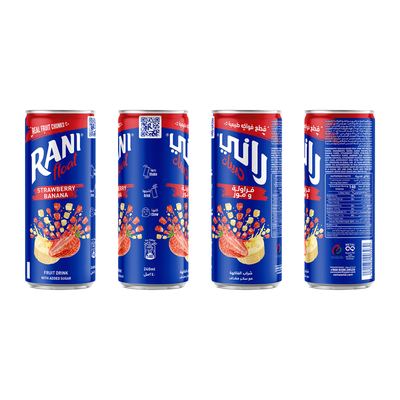 Mixed Fruit Can 24 x 240ml