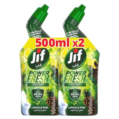 Toilet Cleaner 6 x 2 x 500ml