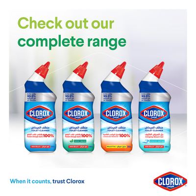Toilet Cleaner Fresh 4 x 3 x 709ml