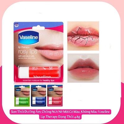 Lip Therapy 24 x 4.8g