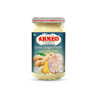 Ginger Garlic Paste 12 x 320g